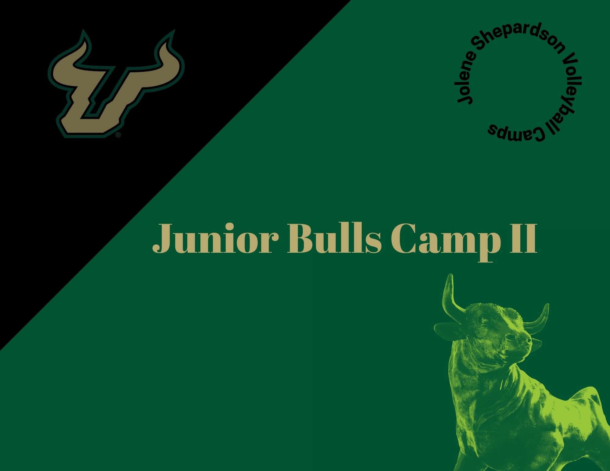 Junior Bulls Camp II event image