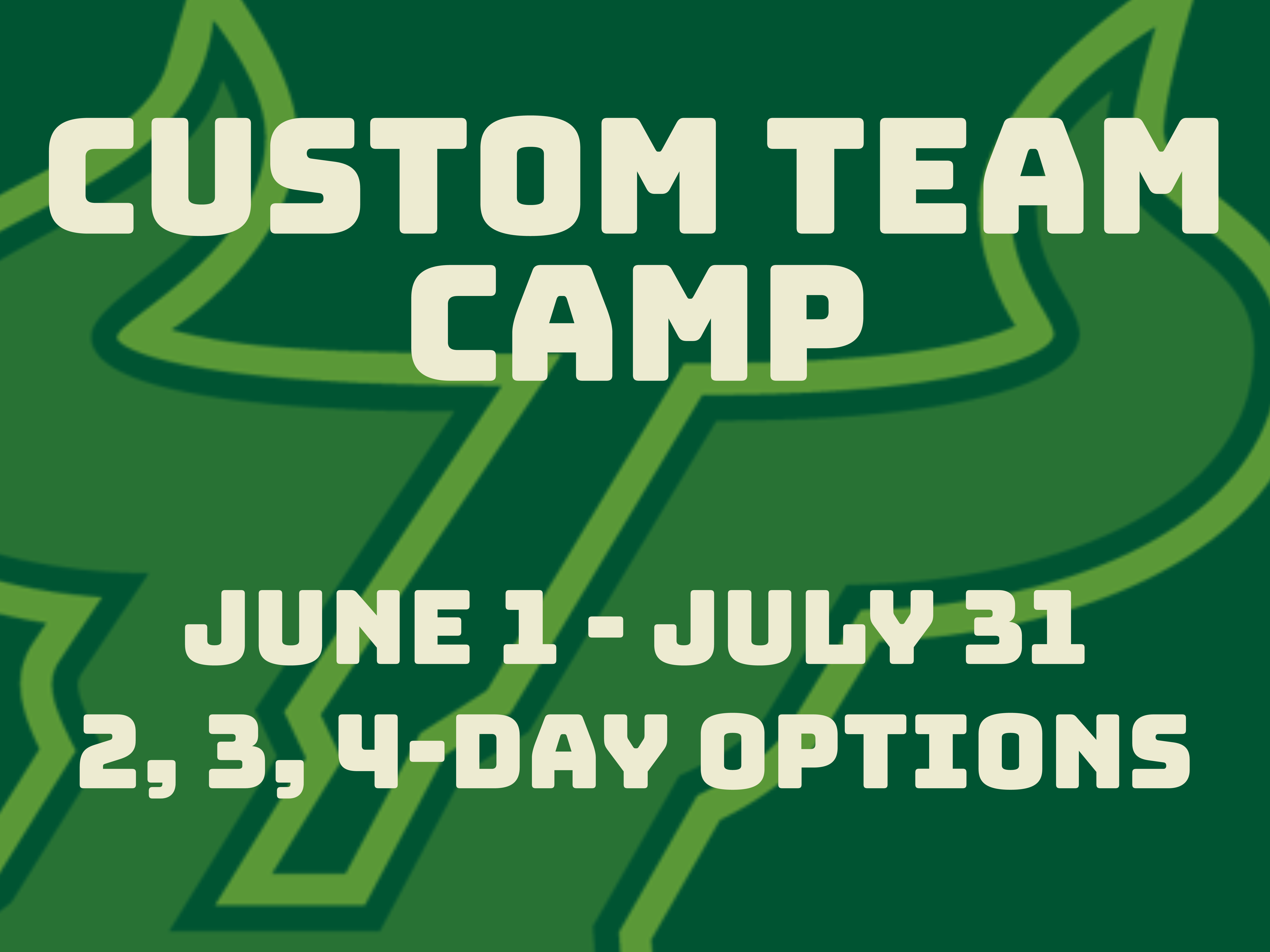 Custom Team Camp @ Your Gym event image